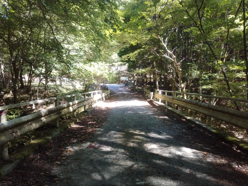 丹沢登山記録②西丹沢VC～白石峠～大室山 10