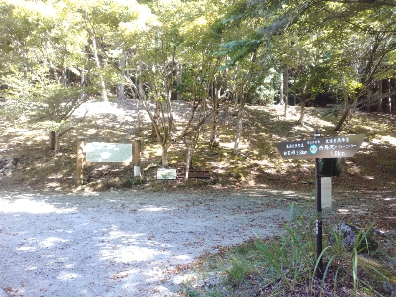 丹沢登山記録②西丹沢VC～白石峠～大室山 11