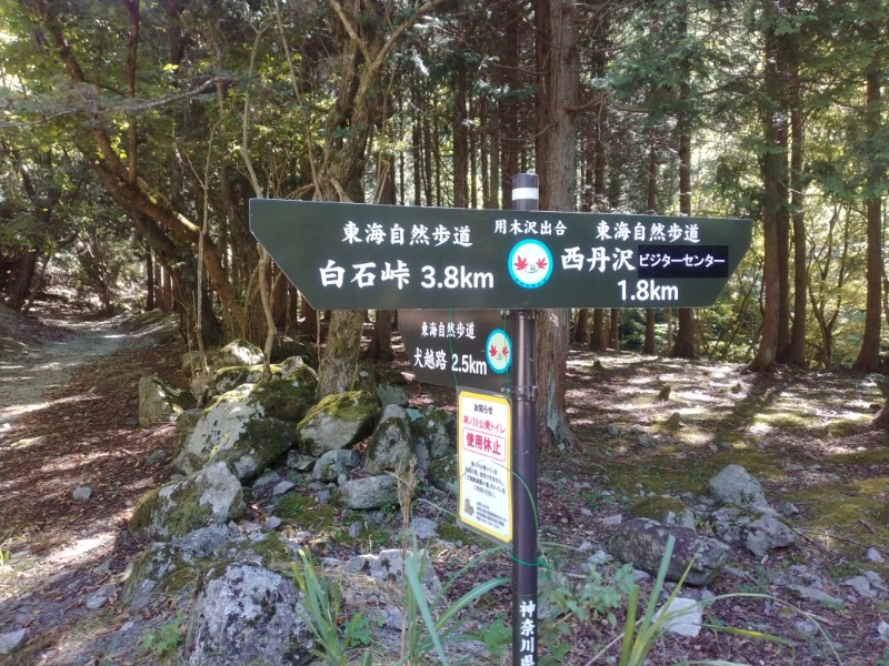 丹沢登山記録②西丹沢VC～白石峠～大室山 12