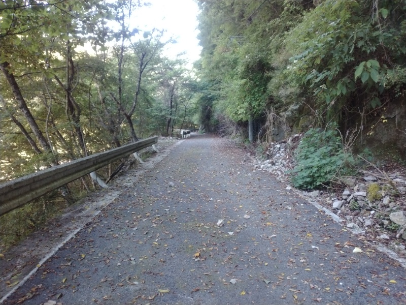 丹沢登山記録②西丹沢VC～白石峠～大室山 14