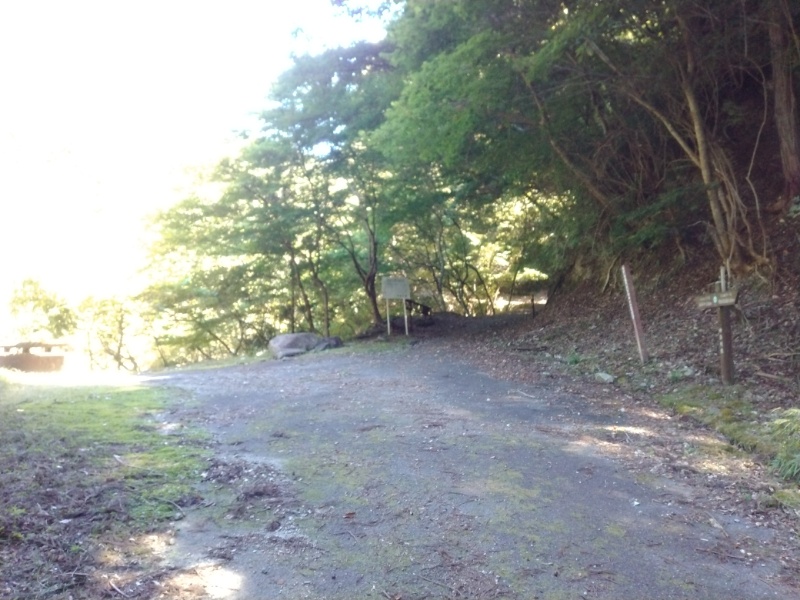 丹沢登山記録②西丹沢VC～白石峠～大室山 15