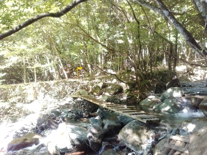 丹沢登山記録②西丹沢VC～白石峠～大室山 19