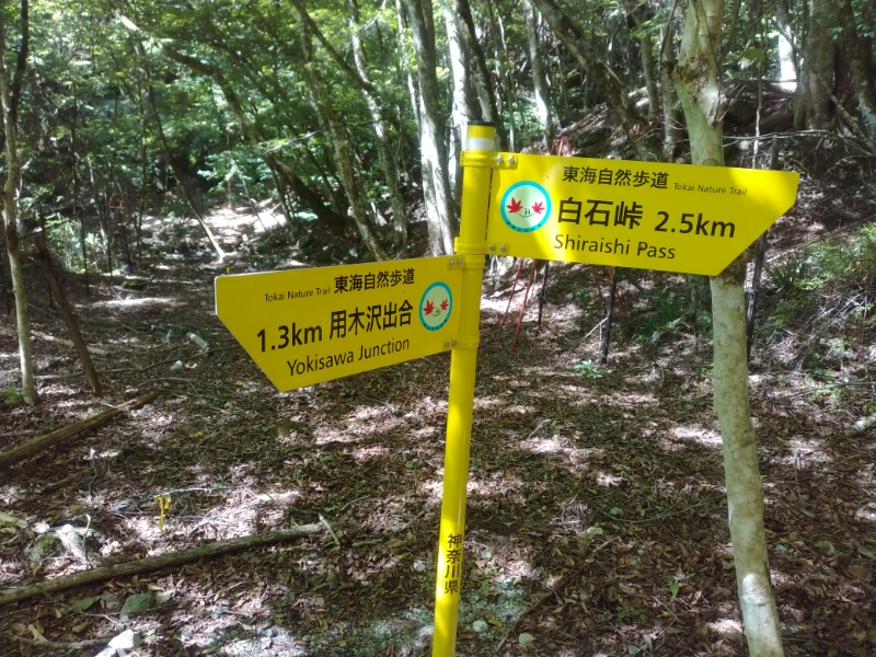 丹沢登山記録②西丹沢VC～白石峠～大室山 20