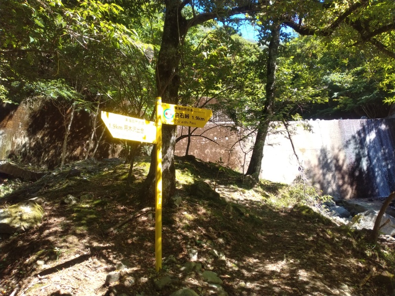 丹沢登山記録②西丹沢VC～白石峠～大室山 25