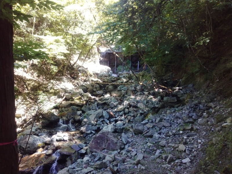 丹沢登山記録②西丹沢VC～白石峠～大室山 27