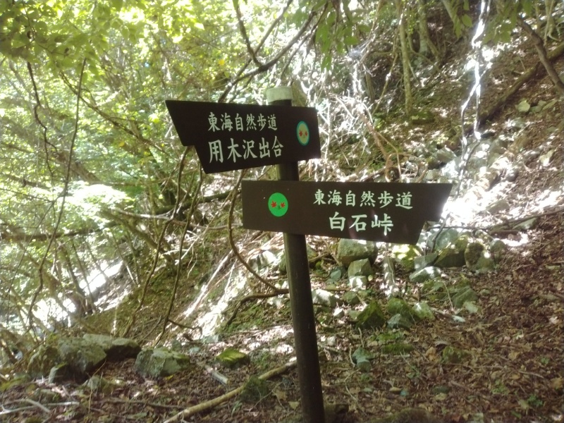 丹沢登山記録②西丹沢VC～白石峠～大室山 28