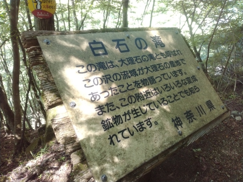 丹沢登山記録②西丹沢VC～白石峠～大室山 30