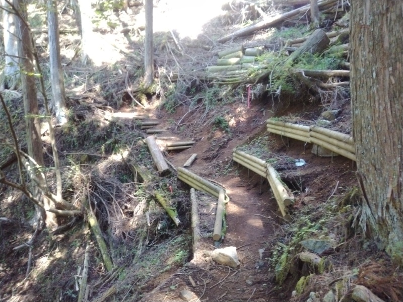 丹沢登山記録②西丹沢VC～白石峠～大室山 31