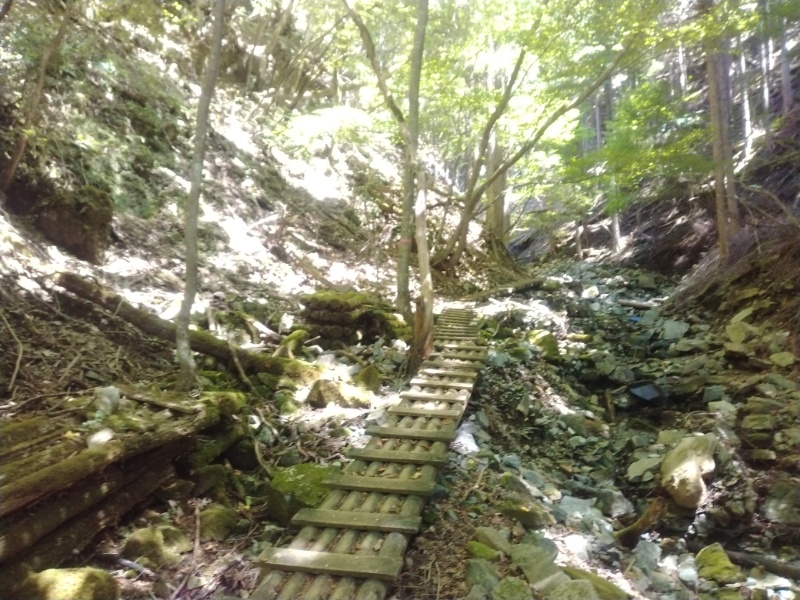 丹沢登山記録②西丹沢VC～白石峠～大室山 34