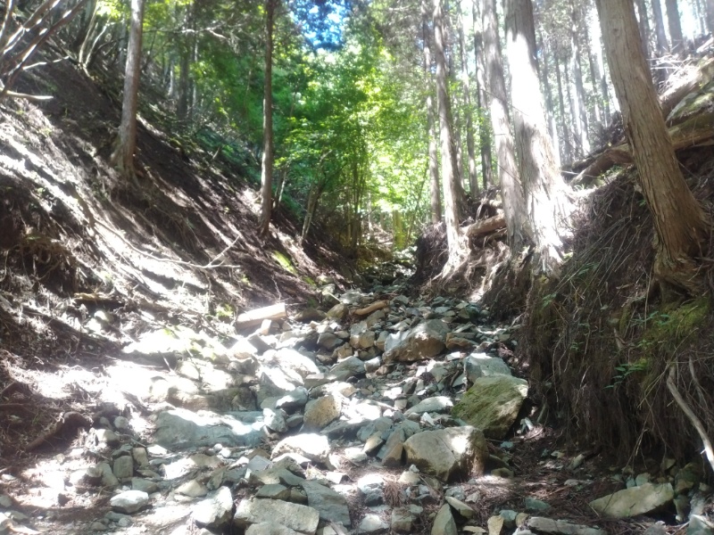 丹沢登山記録②西丹沢VC～白石峠～大室山 35