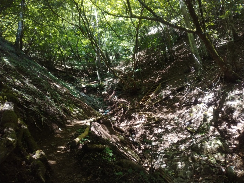 丹沢登山記録②西丹沢VC～白石峠～大室山 38