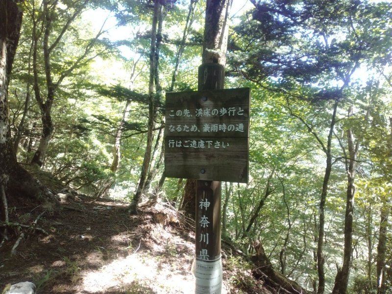 丹沢登山記録②西丹沢VC～白石峠～大室山 41