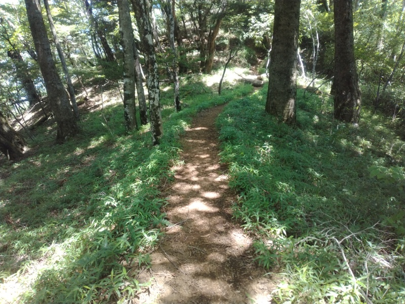 丹沢登山記録②西丹沢VC～白石峠～大室山 43