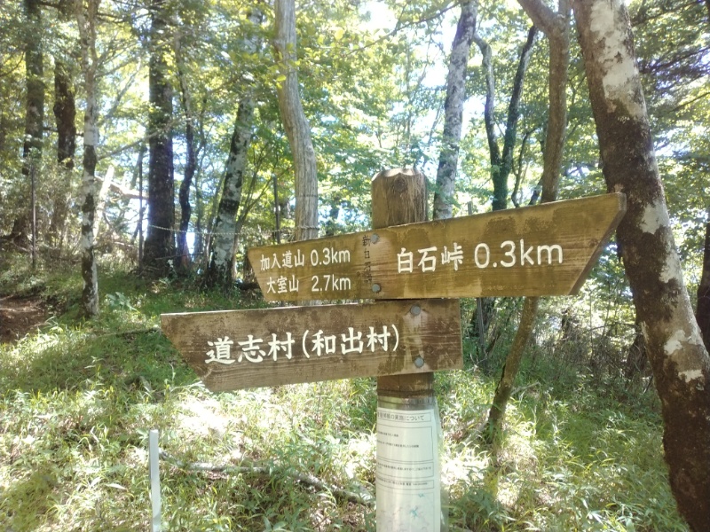 丹沢登山記録②西丹沢VC～白石峠～大室山 44