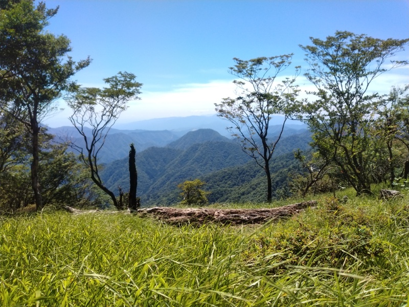 丹沢登山記録②西丹沢VC～白石峠～大室山 50