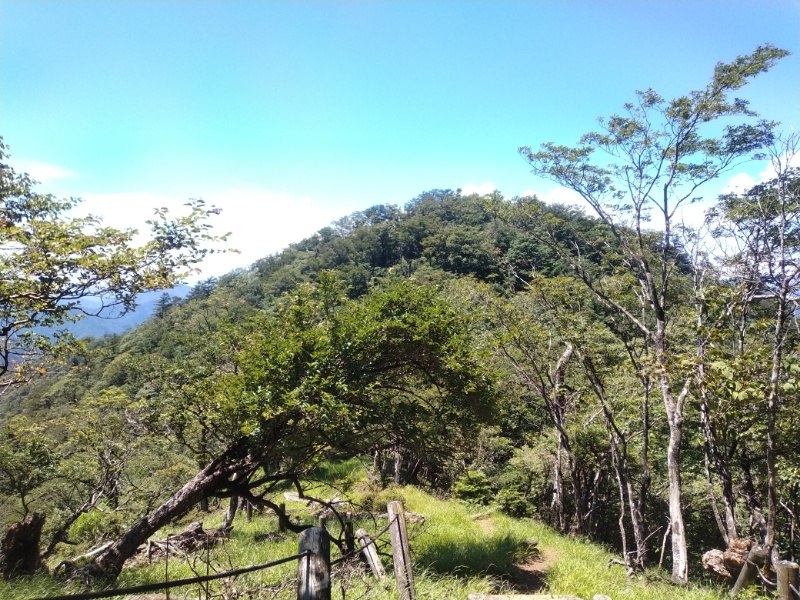 丹沢登山記録②西丹沢VC～白石峠～大室山 51