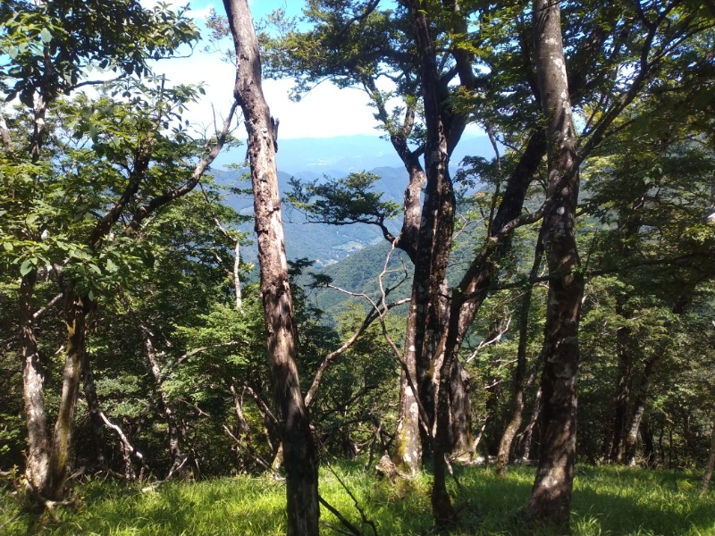 丹沢登山記録②西丹沢VC～白石峠～大室山 53