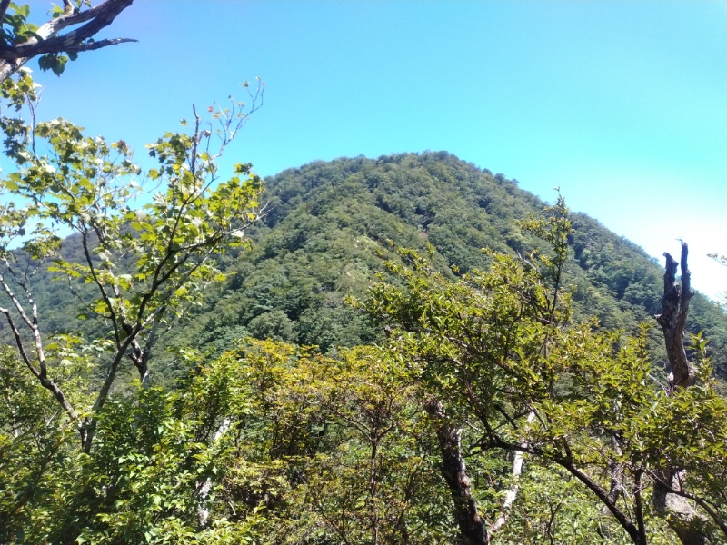 丹沢登山記録②西丹沢VC～白石峠～大室山 55