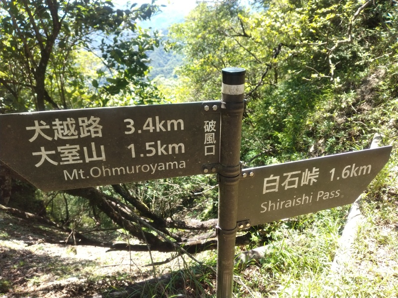 丹沢登山記録②西丹沢VC～白石峠～大室山 56