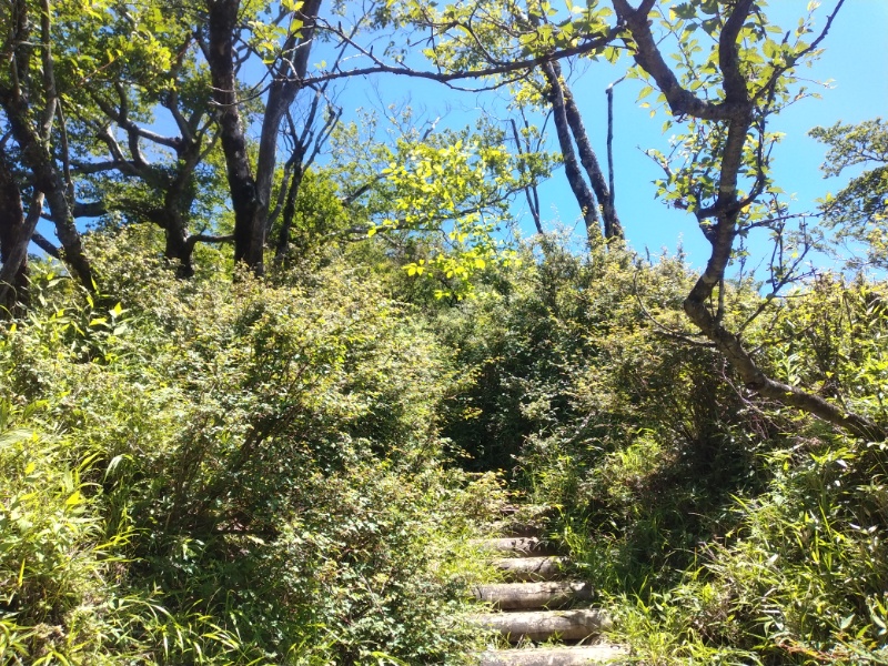 丹沢登山記録②西丹沢VC～白石峠～大室山 58