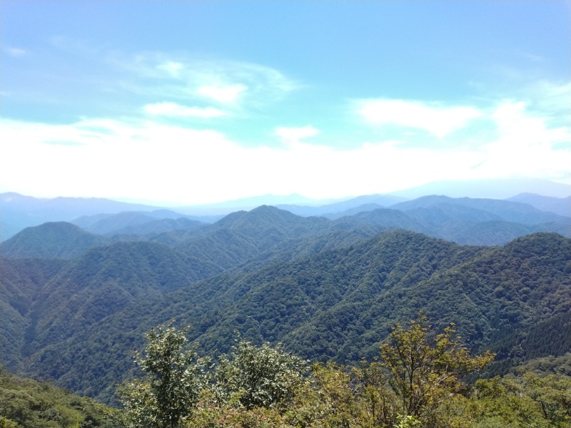 丹沢登山記録②西丹沢VC～白石峠～大室山 60