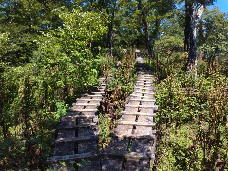 丹沢登山記録②西丹沢VC～白石峠～大室山 62