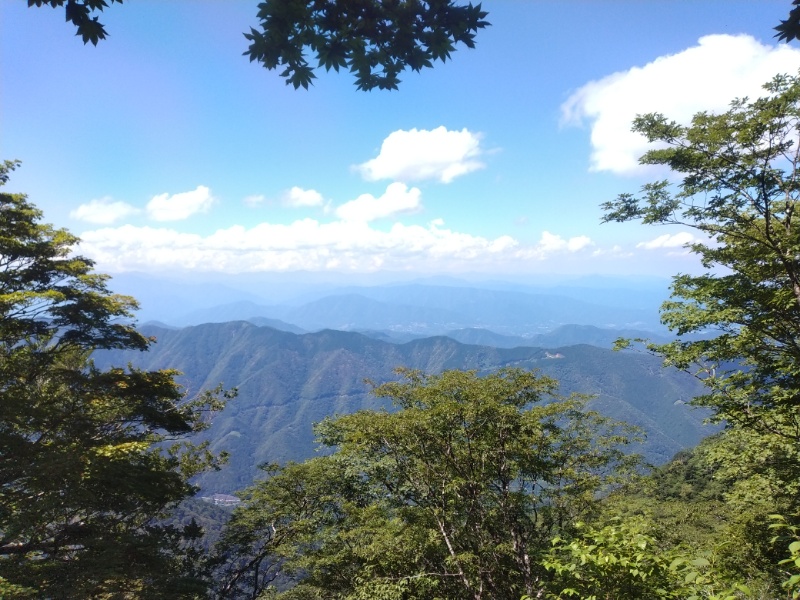 丹沢登山記録②西丹沢VC～白石峠～大室山 63