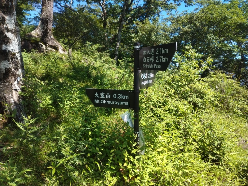 丹沢登山記録②西丹沢VC～白石峠～大室山 65