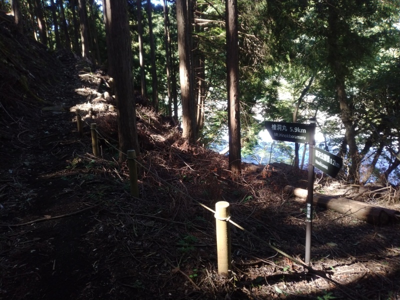 丹沢登山記録④箒沢公園橋～石棚山～檜洞丸 4