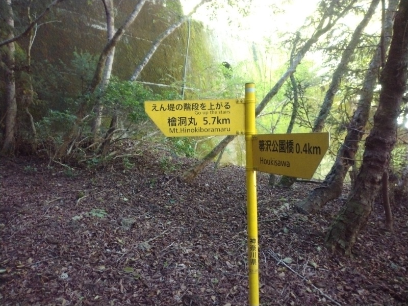 丹沢登山記録④箒沢公園橋～石棚山～檜洞丸 7