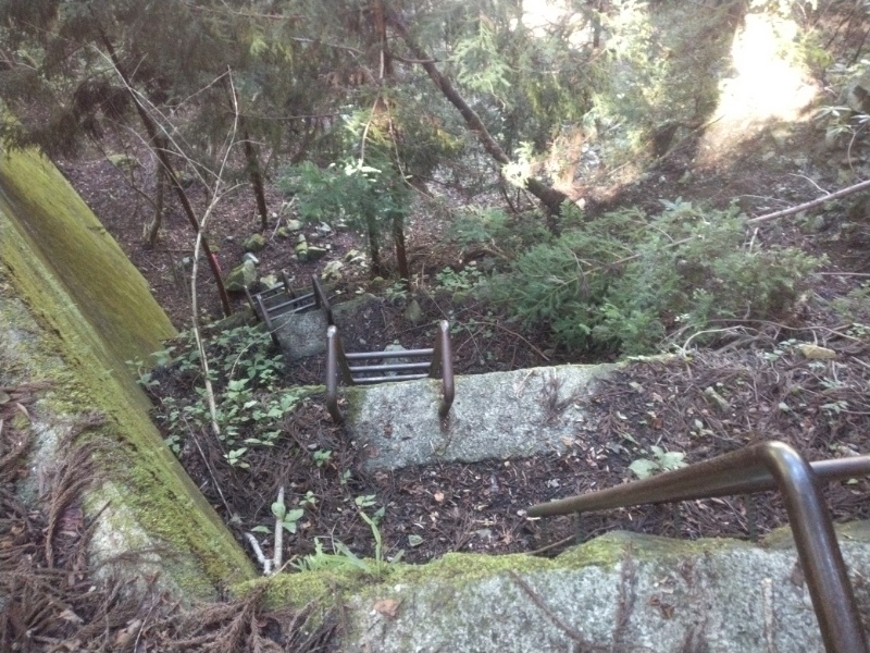 丹沢登山記録④箒沢公園橋～石棚山～檜洞丸 8