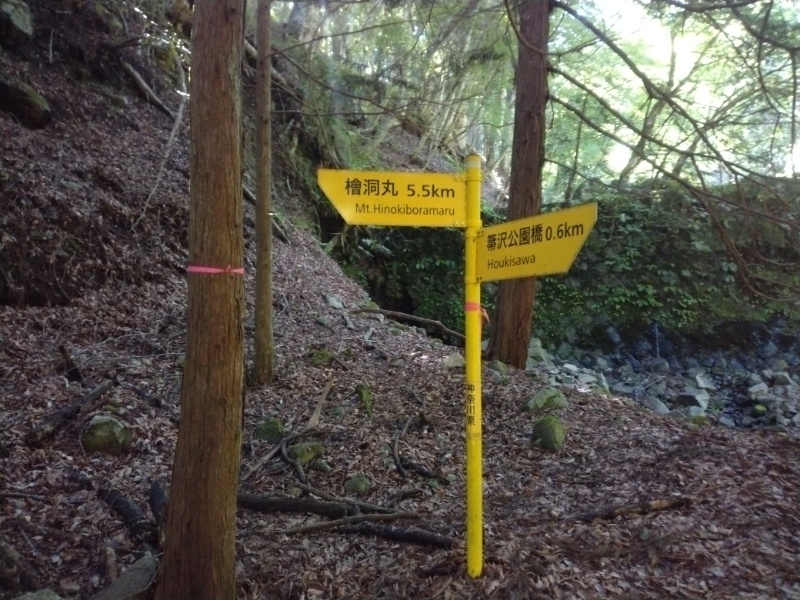 丹沢登山記録④箒沢公園橋～石棚山～檜洞丸 10