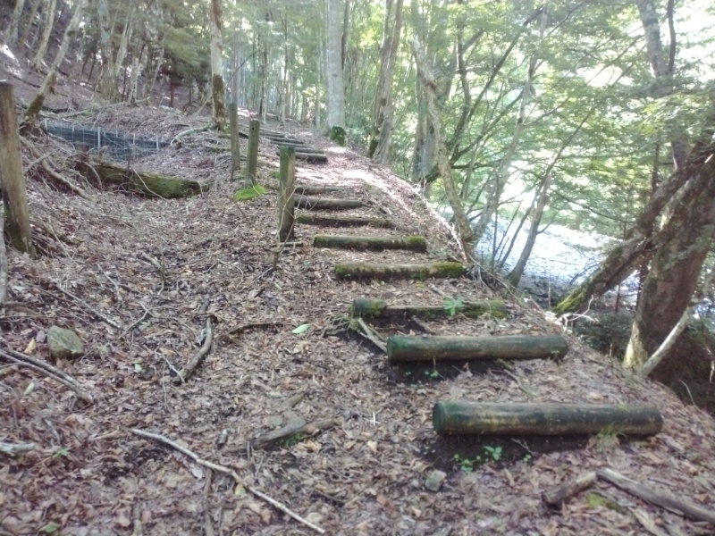 丹沢登山記録④箒沢公園橋～石棚山～檜洞丸 11