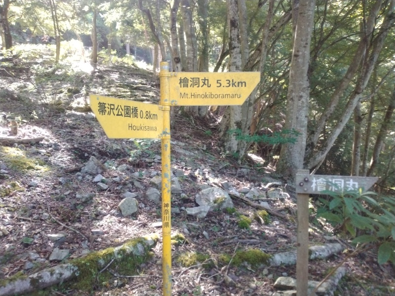 丹沢登山記録④箒沢公園橋～石棚山～檜洞丸 14