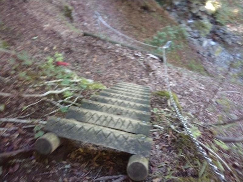 丹沢登山記録④箒沢公園橋～石棚山～檜洞丸 15