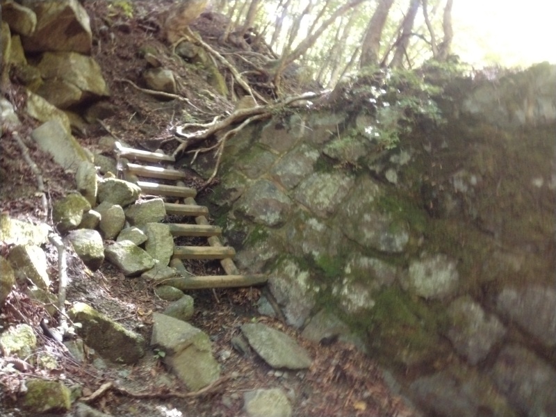 丹沢登山記録④箒沢公園橋～石棚山～檜洞丸 16