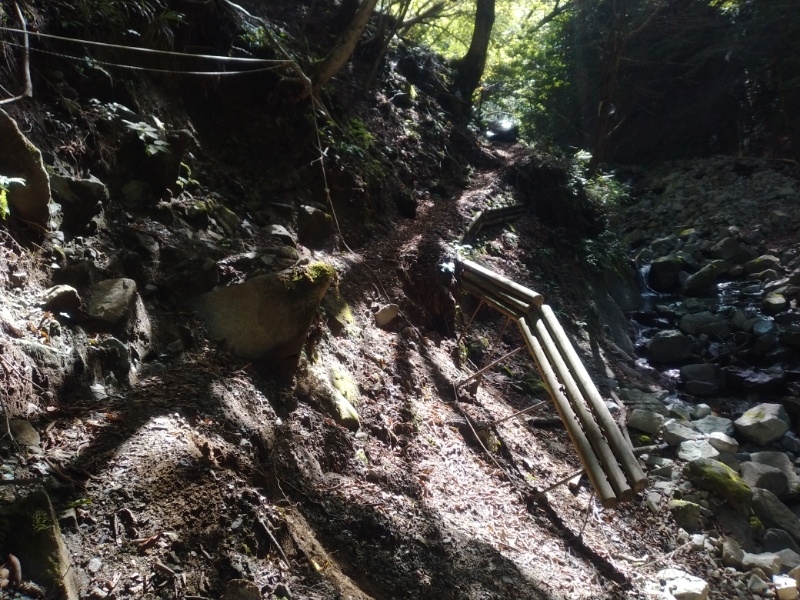 丹沢登山記録④箒沢公園橋～石棚山～檜洞丸 17