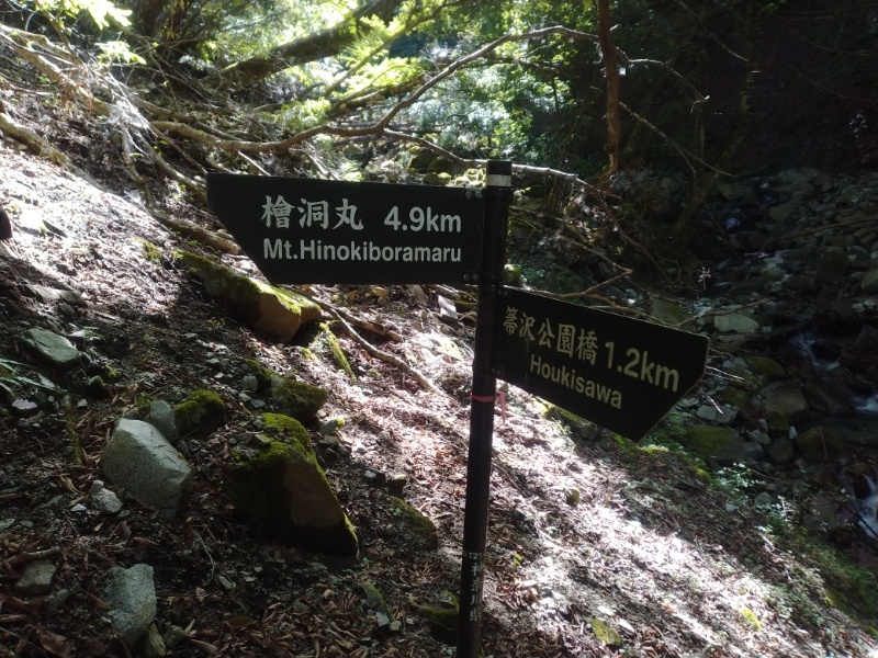 丹沢登山記録④箒沢公園橋～石棚山～檜洞丸 18