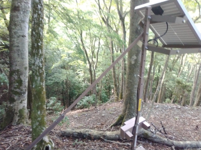 丹沢登山記録④箒沢公園橋～石棚山～檜洞丸 19