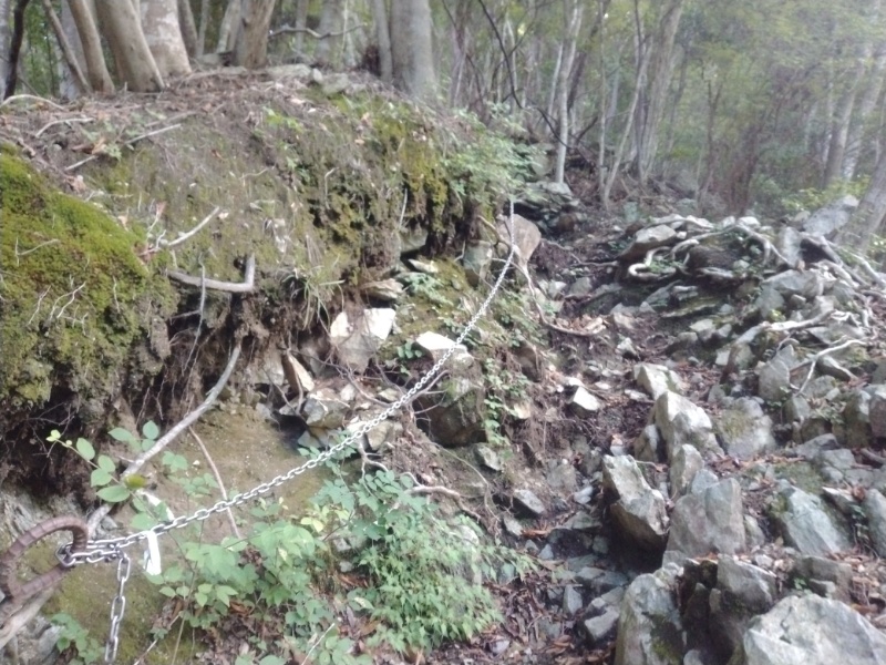 丹沢登山記録④箒沢公園橋～石棚山～檜洞丸 20