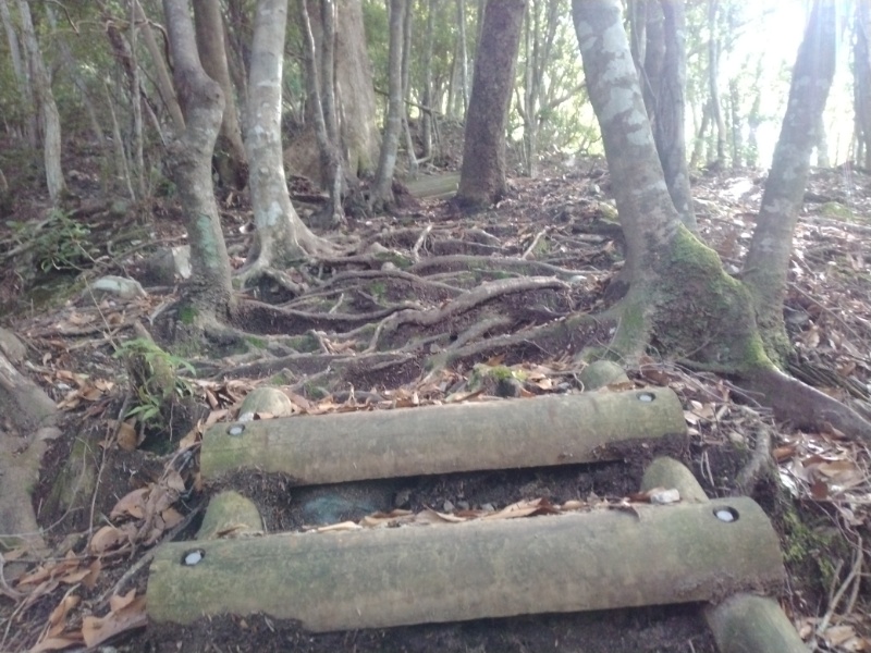 丹沢登山記録④箒沢公園橋～石棚山～檜洞丸 21