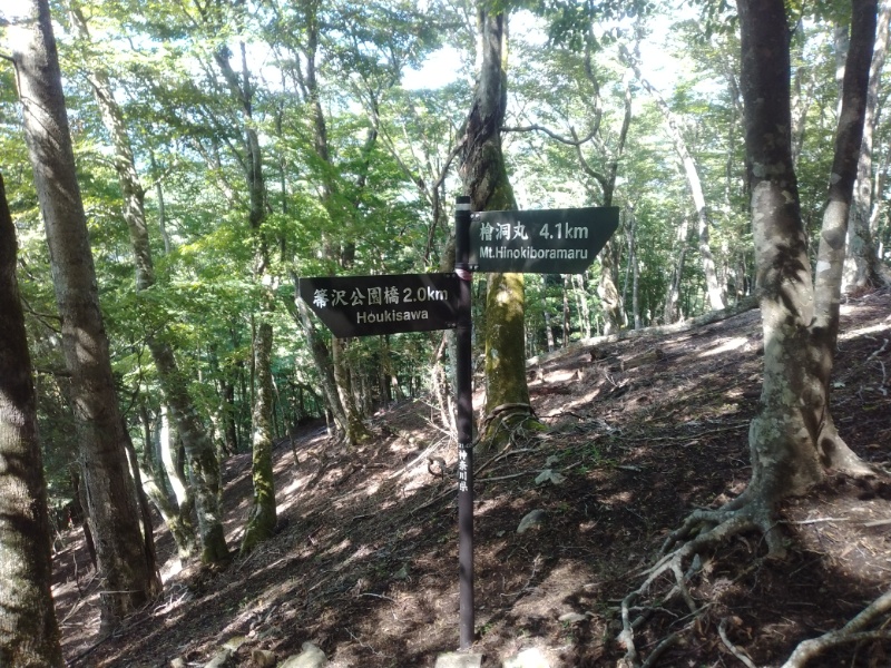 丹沢登山記録④箒沢公園橋～石棚山～檜洞丸 22