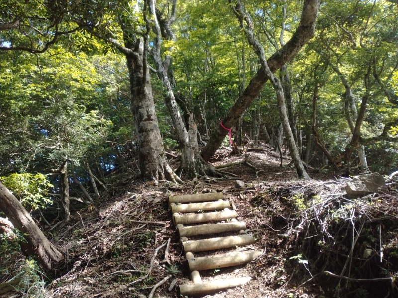 丹沢登山記録④箒沢公園橋～石棚山～檜洞丸 24