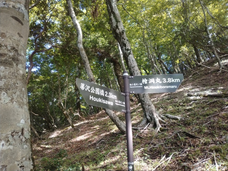 丹沢登山記録④箒沢公園橋～石棚山～檜洞丸 25