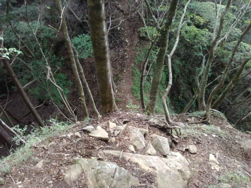 丹沢登山記録④箒沢公園橋～石棚山～檜洞丸 27