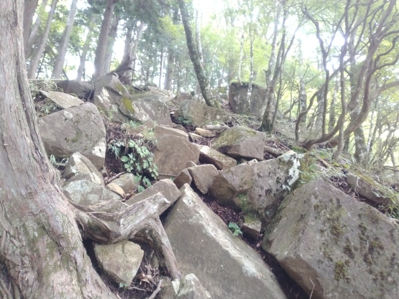 丹沢登山記録④箒沢公園橋～石棚山～檜洞丸 28