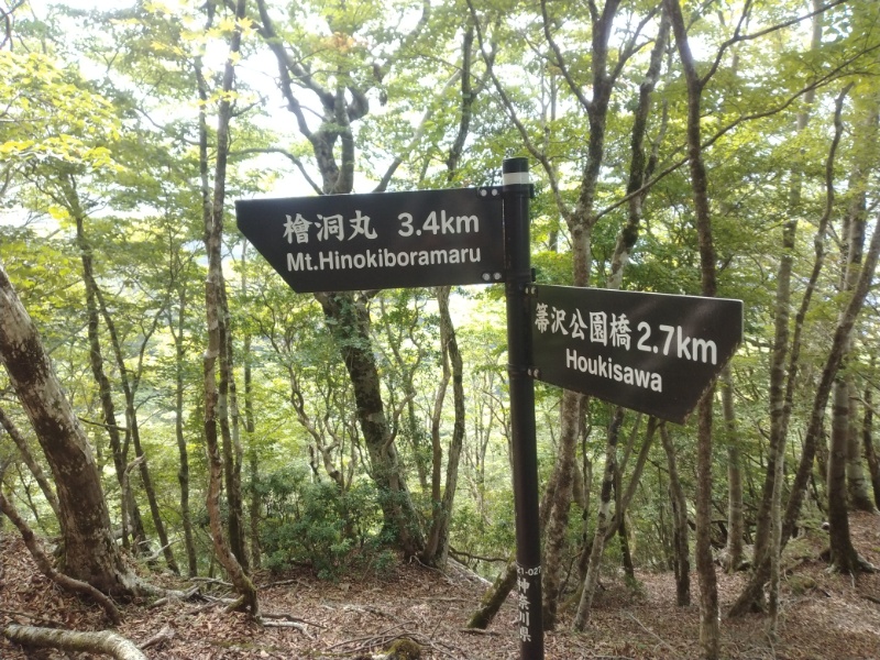 丹沢登山記録④箒沢公園橋～石棚山～檜洞丸 29