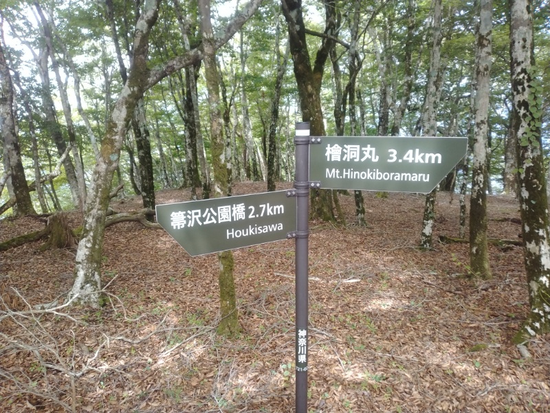 丹沢登山記録④箒沢公園橋～石棚山～檜洞丸 30