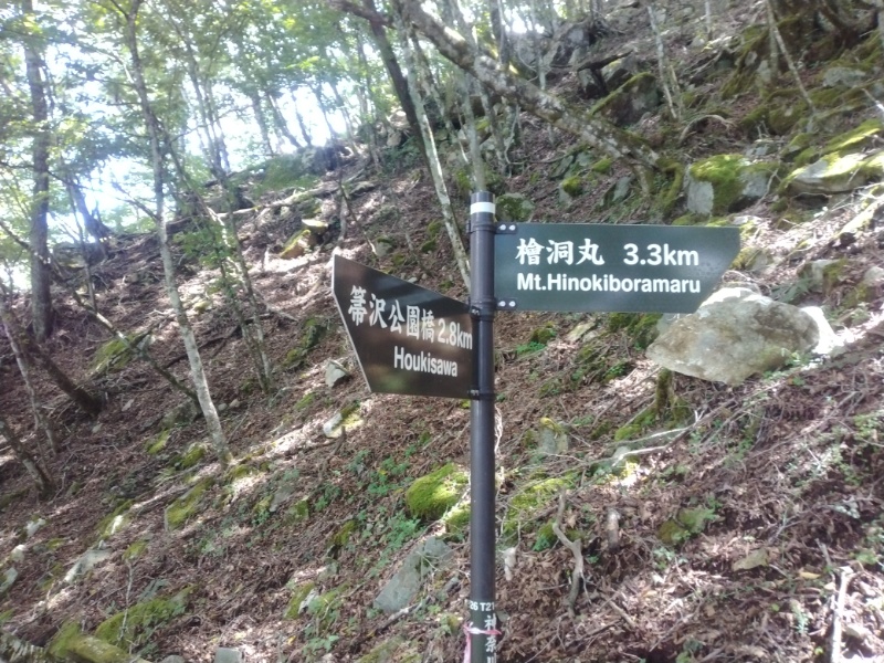 丹沢登山記録④箒沢公園橋～石棚山～檜洞丸 31