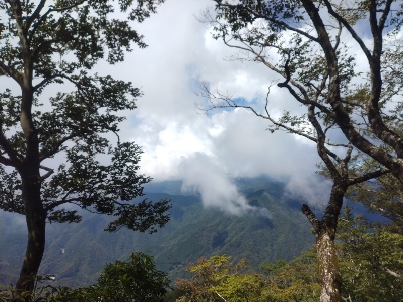 丹沢登山記録④箒沢公園橋～石棚山～檜洞丸 32